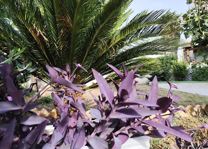 Casa Magnolia Διαμέρισμα